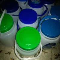پانزده عدد دبه دو کیلویی فقط 60تومان
