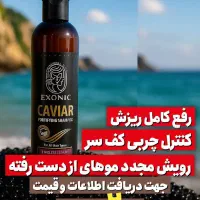 شامپو بیو ممتیک وجوانه گندم|آرایشی، بهداشتی، درمانی|شیراز, سجادیه|دیوار