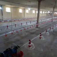 لوازم مرغداری  هواکش جت هیتر