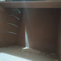 جوجه گرینچیک ملنگو شاه لانه قفس کاسکویی|پرنده|مشهد, نیزه|دیوار