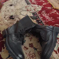 پوتین سایر ۴۶