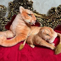 عروسک دکوری