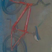 دوچرخه 24