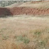 زمین-کشاورزی