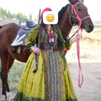 لباس محلی|لباس|شیراز, قلعه نو|دیوار