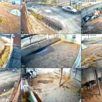 فروش ویژه انواع پک های اقتصادی و کیفیتی دوربین|دوربین مداربسته|تبریز, |دیوار