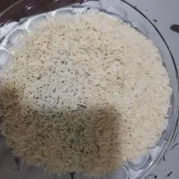 برنج محلی چمپا