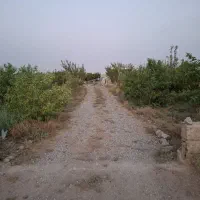 فروش باغچه ۱۰۰۰متری قابل تهاتر|فروش زمین و ملک کلنگی|نظرآباد, خسروآباد|دیوار