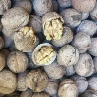 گردو پرچرب وپرمغز