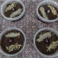 خوشمزه مقوی