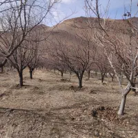 فروش-باغ-روستای-گله-گورچک