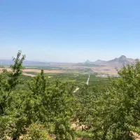 باغ طرح عمان