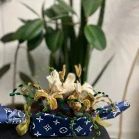 قیمت توافقی بیا هرچقدر بخوای تخفیف میدم|گل مصنوعی|مرند, |دیوار