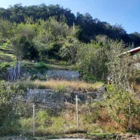 فروش یک قطعه زمین ۱۵۰ متری|فروش زمین و ملک کلنگی|آلاشت, |دیوار