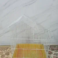 قفس پرنده