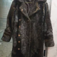 پالتو مجلسی