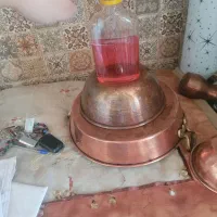 انواع شامپوسربدن صابون مواد شوینده شیرالاتاجاق گاز|مواد شوینده و دستمال کاغذی|اردبیل, |دیوار
