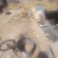 کبوتر طاووسی پنج عدد