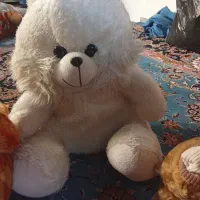 خرسی|اسباببازی|سقز, |دیوار