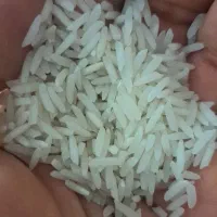 برنج طارم محلی