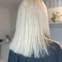 مدل برای تمامی تکنیک ها