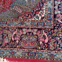 فرش ماشینی ۱۲ متری|فرش|مرند, |دیوار