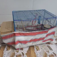 قفس پرنده با وسایل کامل|لوازم جانبی حیوانات|اهواز, پردیس دو|دیوار