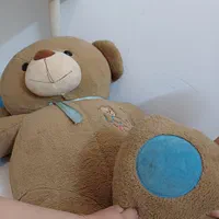 خرس بزرگ|اسباب‌بازی بچه|مشهد, طرق|دیوار