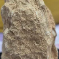 فسیل|کلکسیون اشیاء عتیقه|تهران, مخصوص|دیوار