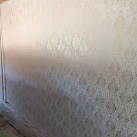 نقاشی ساختمان رنگ آمیزی سفید سریع|خدمات پیشه و مهارت|تبریز, |دیوار