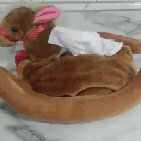 جا دستمال کاغذی برای کودک