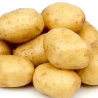 سیب زمینی تازه