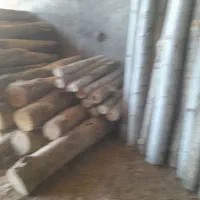 خرید  چوبهای  باغی  و  صنعتی  با  بهترین  قیمت