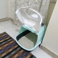 گربه|گربه|اسلام‌شهر, شهرک سالور|دیوار