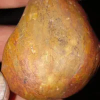سنگ قیمتی. Marvdasht|جواهرات|مرودشت, نقش رستم|دیوار