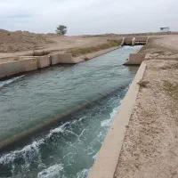 فروش زمین کشاورزی فقط سند ثبتی
