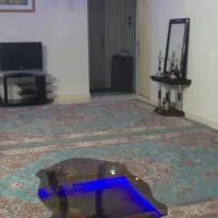 ۳تخته فرش دستباف گونه ۹ متری