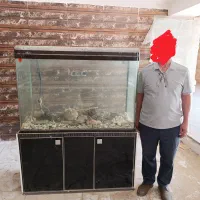 فروش 120سانتی شرکتی