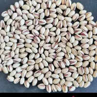 خرید پسته|خوردنی و آشامیدنی|تربت جام, میان جام|دیوار