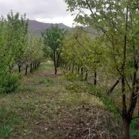 باغ-زمین-ویلایی-باآب-مادام-العمر-گوار-عقیل-آباد