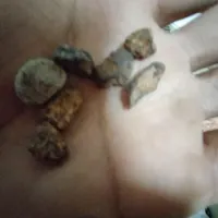 چند تا شهاب سنگ که جذب اهنربا میشن