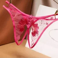 لباس زیر و پروتز زنانه|لباس|قدس, شهرقدس|دیوار