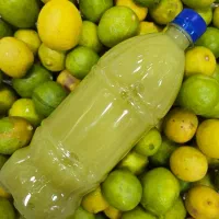 آبلیمو و آبغوره (پخش و خرده)