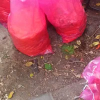 تفاله هویچ|لوازم جانبی حیوانات|مرند, |دیوار