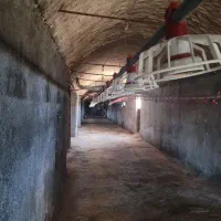 مرغداری معاوضه با.|فروش دفتر صنعتی، کشاورزی، تجاری|سبزوار, فرهنگیان|دیوار