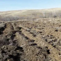 زمین-کشاورزی