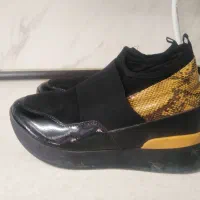 دوچرخه نیست