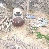 فروش کنده درخت|عمدهفروشی|گزیک, |دیوار