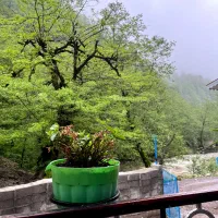 اجاره روزانه/هفتگی/ماهانه آپارتمان ۱۰۰ متری|اجارهٔ کوتاه‌مدت آپارتمان و سوئیت|ماسوله, |دیوار