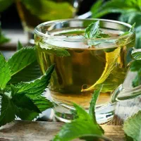 فرصت شغلی برای بانوان سرزمینم